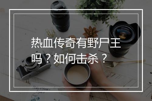 热血传奇有野尸王吗？如何击杀？