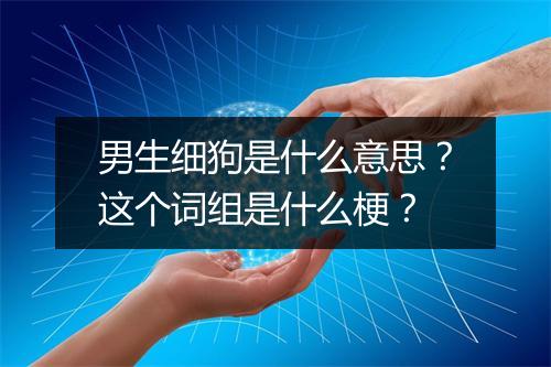 男生细狗是什么意思？这个词组是什么梗？