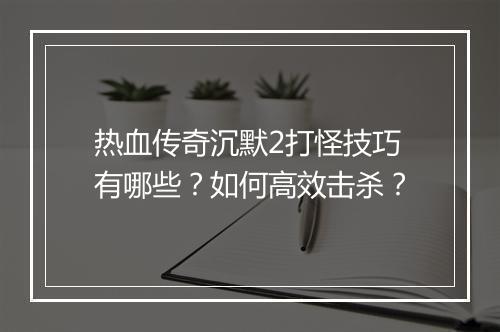 热血传奇沉默2打怪技巧有哪些？如何高效击杀？