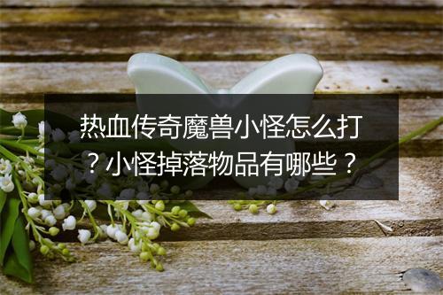 热血传奇魔兽小怪怎么打？小怪掉落物品有哪些？