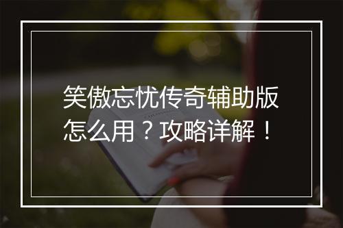 笑傲忘忧传奇辅助版怎么用？攻略详解！