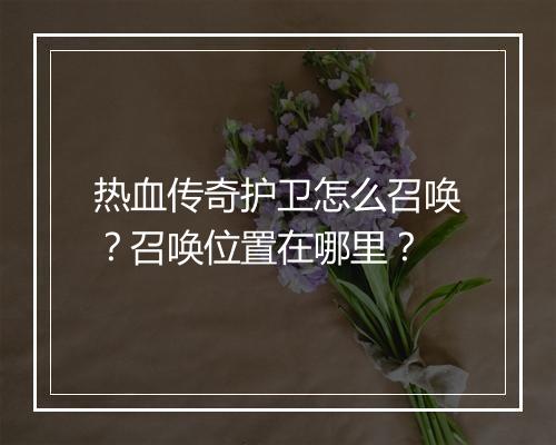 热血传奇护卫怎么召唤？召唤位置在哪里？