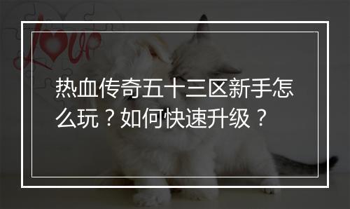 热血传奇五十三区新手怎么玩？如何快速升级？