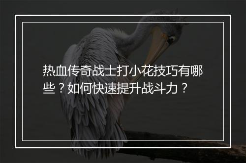 热血传奇战士打小花技巧有哪些？如何快速提升战斗力？