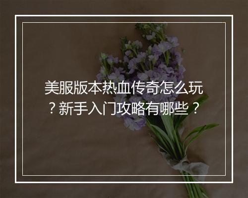 美服版本热血传奇怎么玩？新手入门攻略有哪些？