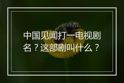 中国见闻打一电视剧名？这部剧叫什么？
