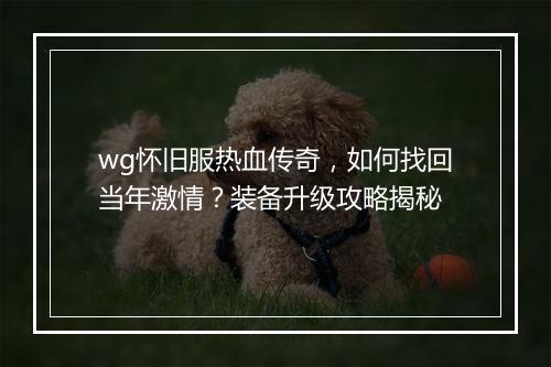 wg怀旧服热血传奇，如何找回当年激情？装备升级攻略揭秘