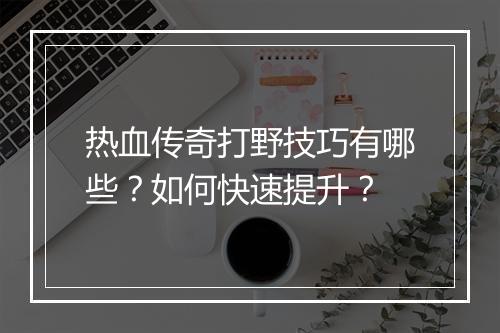 热血传奇打野技巧有哪些？如何快速提升？
