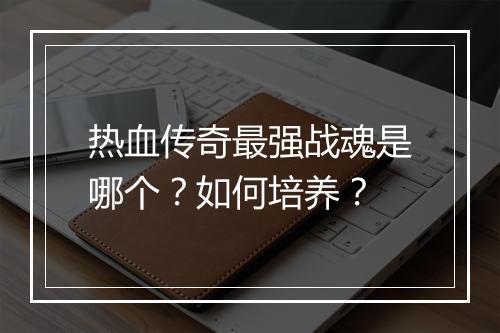 热血传奇最强战魂是哪个？如何培养？