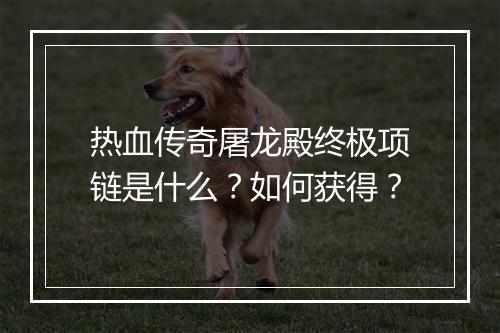 热血传奇屠龙殿终极项链是什么？如何获得？