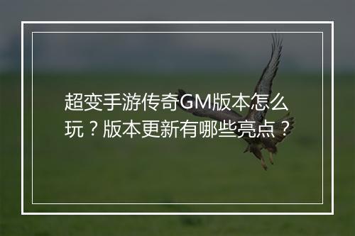 超变手游传奇GM版本怎么玩？版本更新有哪些亮点？