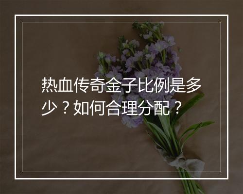 热血传奇金子比例是多少？如何合理分配？