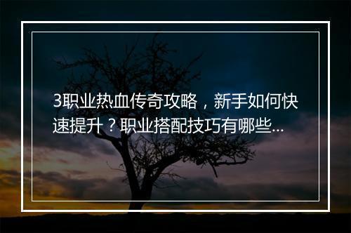 3职业热血传奇攻略，新手如何快速提升？职业搭配技巧有哪些？