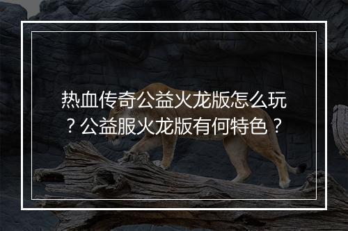 热血传奇公益火龙版怎么玩？公益服火龙版有何特色？