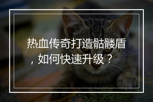 热血传奇打造骷髅盾,如何快速升级?
