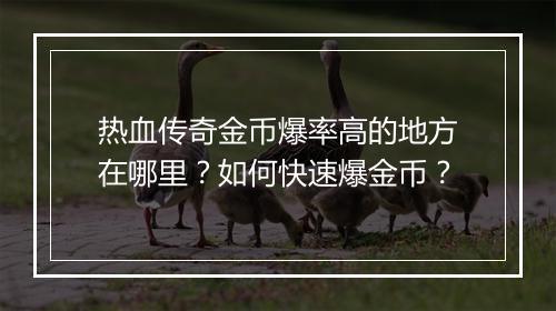 热血传奇金币爆率高的地方在哪里？如何快速爆金币？