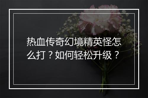 热血传奇幻境精英怪怎么打？如何轻松升级？