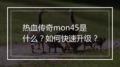 热血传奇mon45是什么？如何快速升级？