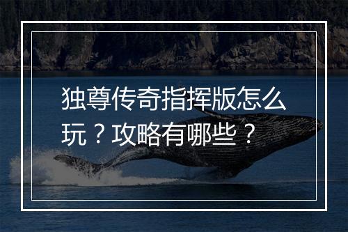 独尊传奇指挥版怎么玩？攻略有哪些？