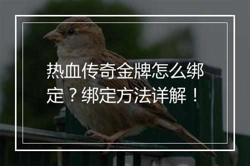 热血传奇金牌怎么绑定？绑定方法详解！