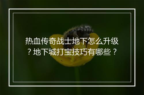热血传奇战士地下怎么升级？地下城打宝技巧有哪些？