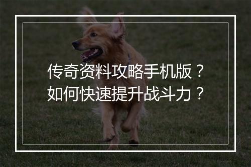传奇资料攻略手机版？如何快速提升战斗力？
