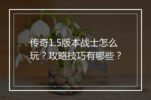 传奇1.5版本战士怎么玩？攻略技巧有哪些？