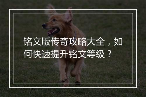 铭文版传奇攻略大全，如何快速提升铭文等级？