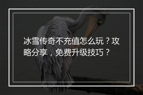 冰雪传奇不充值怎么玩？攻略分享，免费升级技巧？