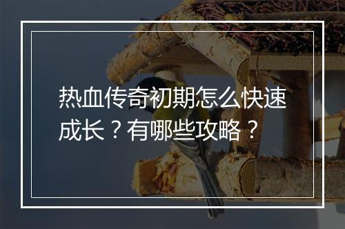热血传奇初期怎么快速成长？有哪些攻略？