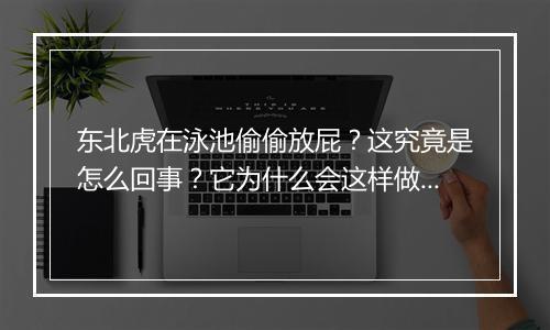 东北虎在泳池偷偷放屁？这究竟是怎么回事？它为什么会这样做？
