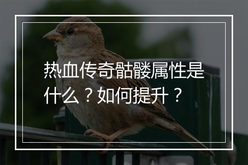 热血传奇骷髅属性是什么？如何提升？