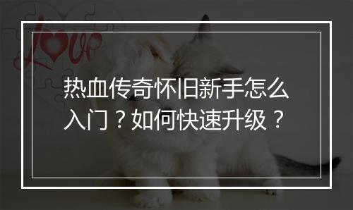 热血传奇怀旧新手怎么入门？如何快速升级？