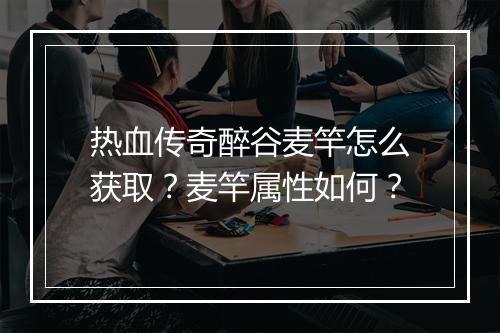热血传奇醉谷麦竿怎么获取？麦竿属性如何？