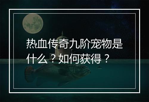 热血传奇九阶宠物是什么？如何获得？