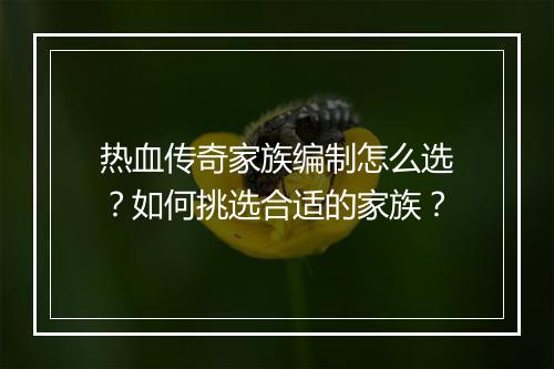 热血传奇家族编制怎么选？如何挑选合适的家族？
