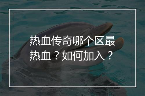 热血传奇哪个区最热血？如何加入？
