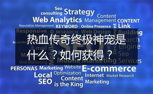 热血传奇终极神宠是什么？如何获得？