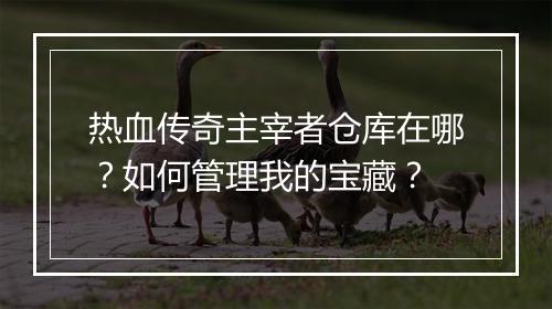 热血传奇主宰者仓库在哪？如何管理我的宝藏？