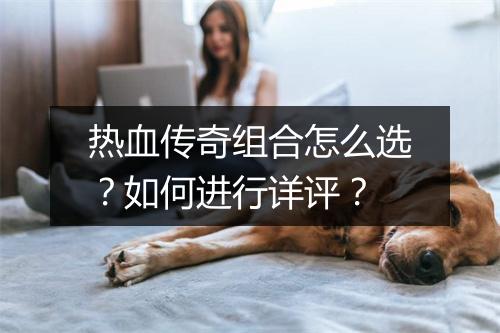 热血传奇组合怎么选？如何进行详评？