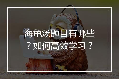 海龟汤题目有哪些？如何高效学习？