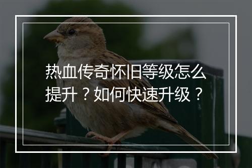 热血传奇怀旧等级怎么提升？如何快速升级？
