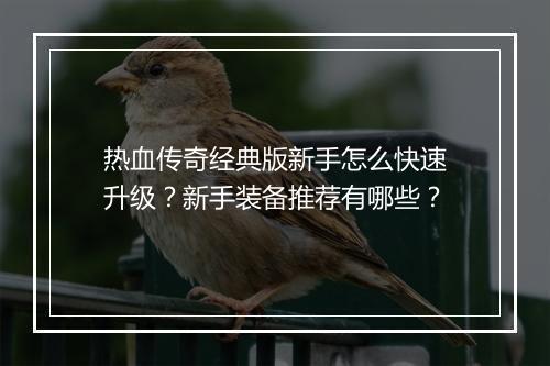 热血传奇经典版新手怎么快速升级？新手装备推荐有哪些？