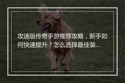 攻速版传奇手游推荐攻略，新手如何快速提升？怎么选择最佳装备？