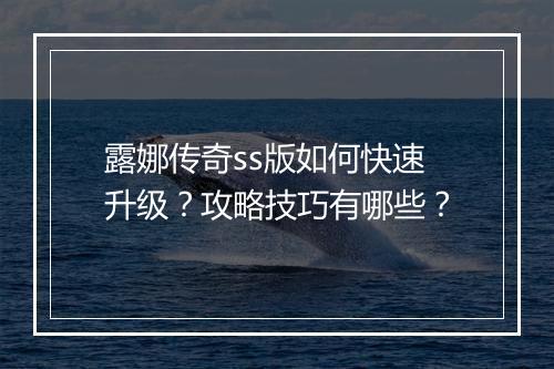 露娜传奇ss版如何快速升级？攻略技巧有哪些？