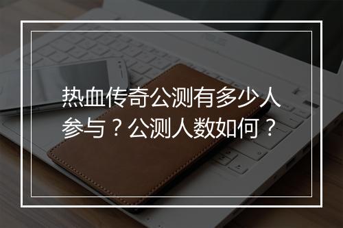 热血传奇公测有多少人参与？公测人数如何？