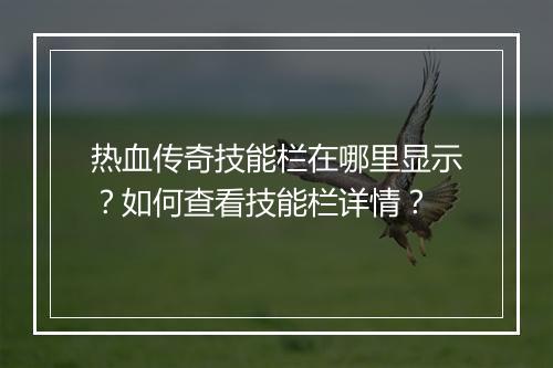热血传奇技能栏在哪里显示？如何查看技能栏详情？
