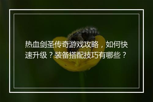 热血剑圣传奇游戏攻略，如何快速升级？装备搭配技巧有哪些？