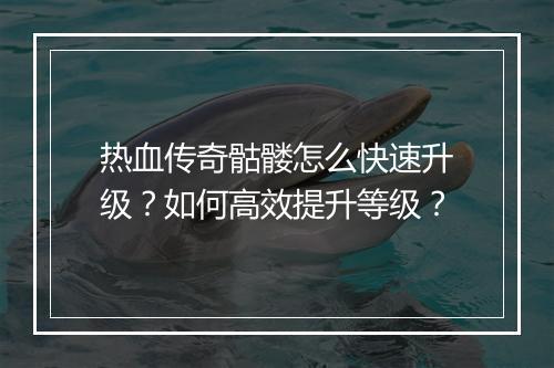 热血传奇骷髅怎么快速升级？如何高效提升等级？