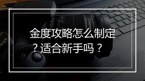 金度攻略怎么制定？适合新手吗？